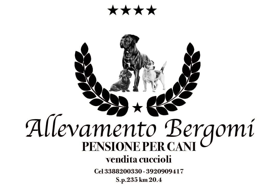 Logo Allevamento Bergomi
